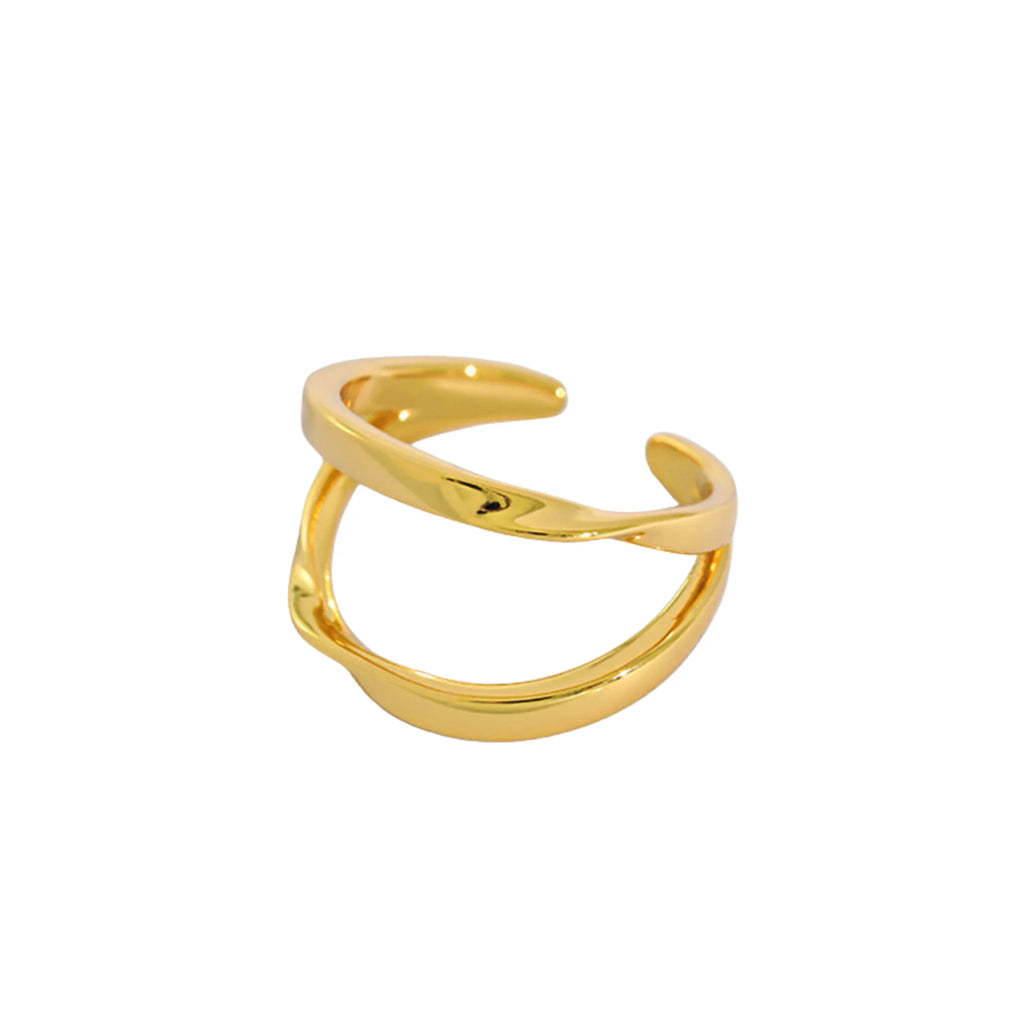 Schlichter Silberring mit zwei gedrehten Strängen – flexibel tragbar