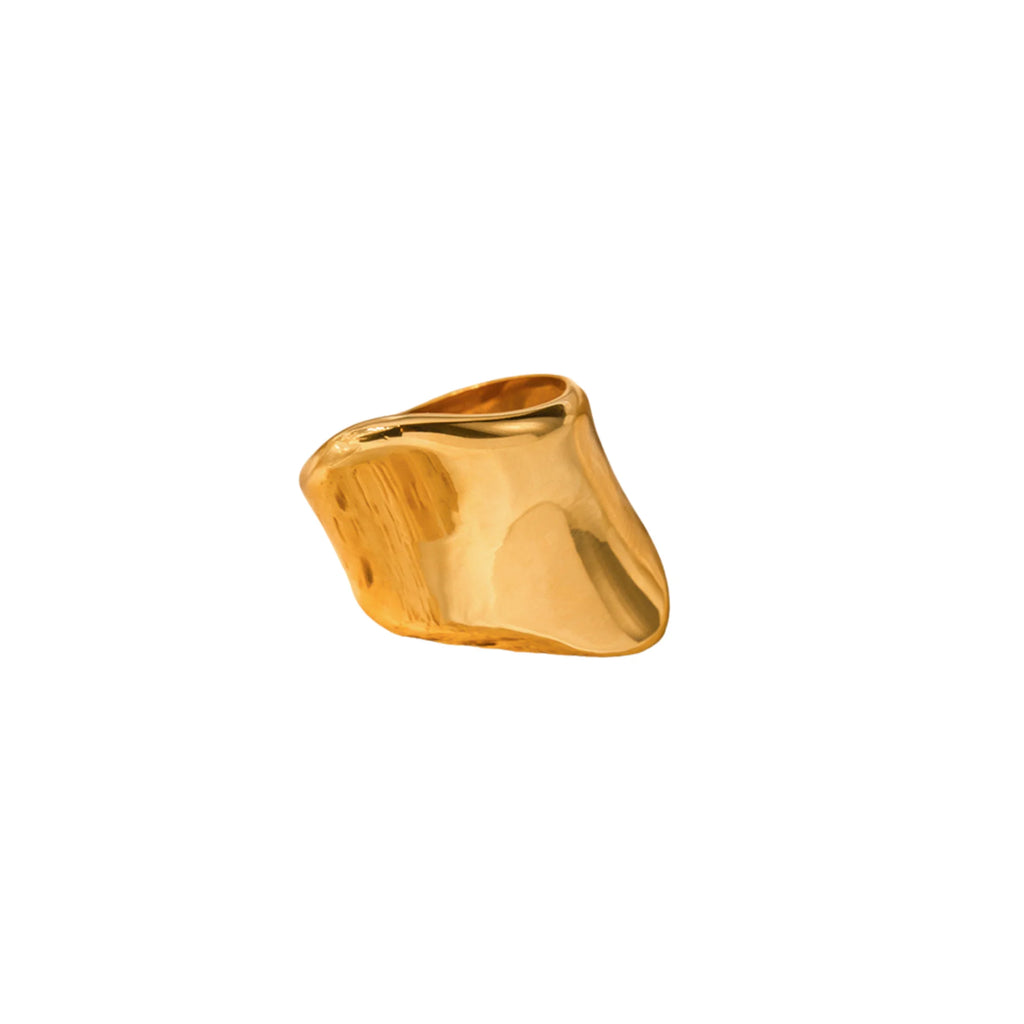 Designring mit freier Formgebung – aus Edelstahl mit Goldfinish