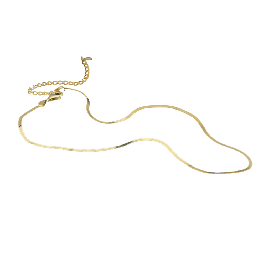 Detailaufnahme der flachen Schlangenkette in Silber – gleichmässige Glieder, ruhiger Glanz